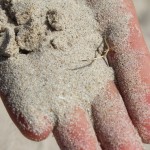 Mornington Peninsula Exkursion 03 - Rye Pier - feiner Sand