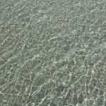 Mornington Peninsula Exkursion 04 - Rye Pier - klares Wasser