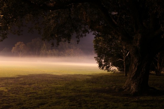 Australische Nacht - Fußballfeld im Nebel - IMG_2731-4